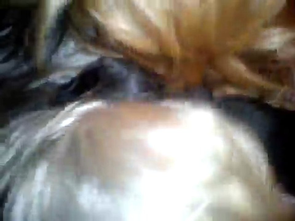 Feerie chiots o'sborg