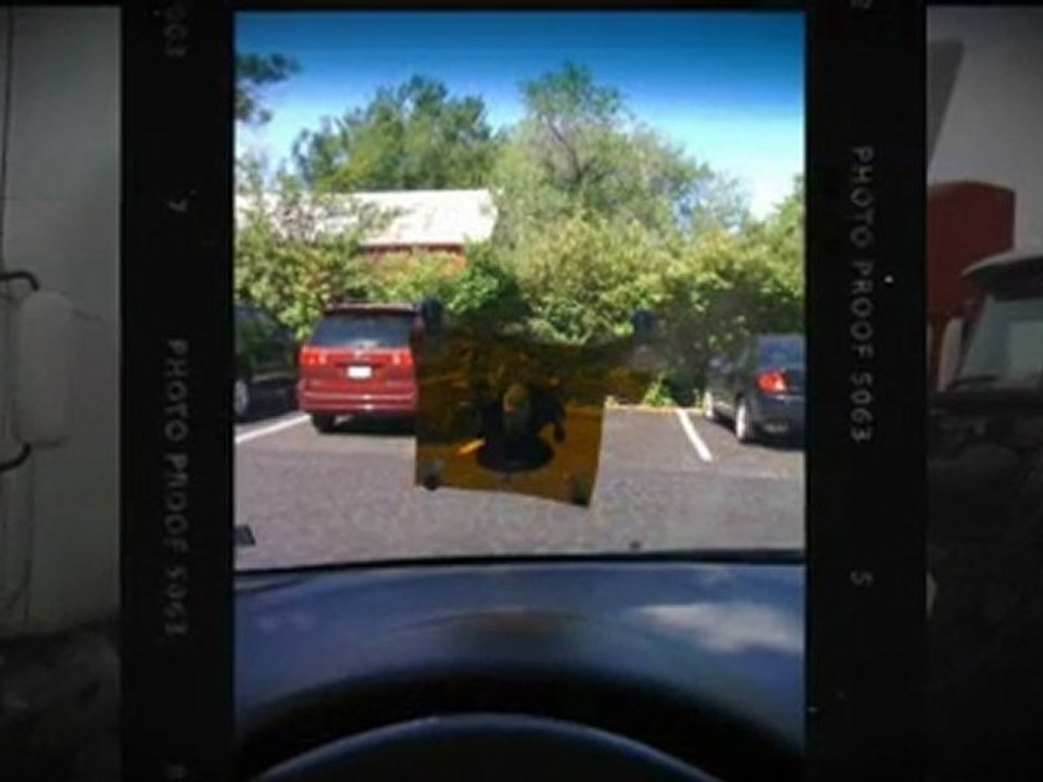 windshield replacement 63555