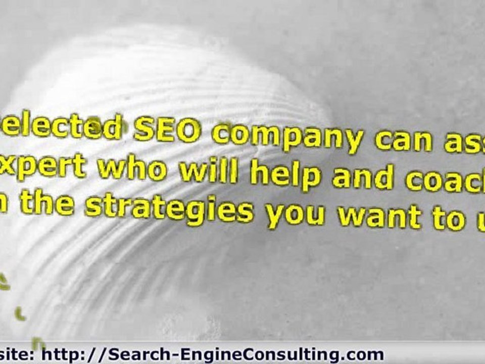 Services Available for Search Engine Consulting