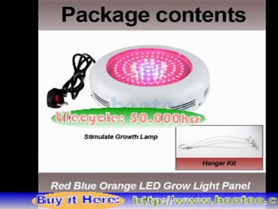 What is the Best Gift for Your Indoor Plant