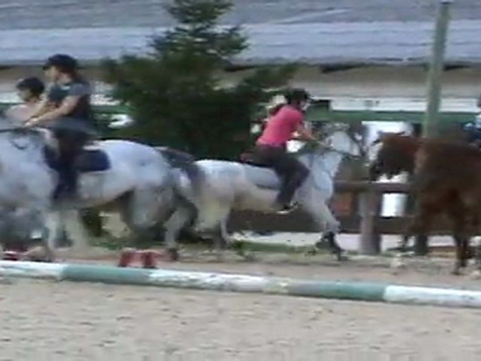 Fanny et Pirouette