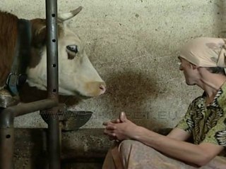 Perralla me Tupan Humor