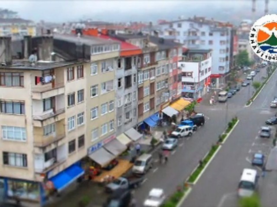 ARHAVİ