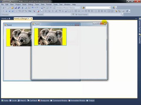 visual studio 2010 kontroller ve ozellikleri