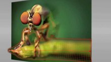 3Defy - Transform Photos into 3D Models!