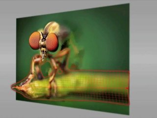 3Defy - Transform Photos into 3D Models!