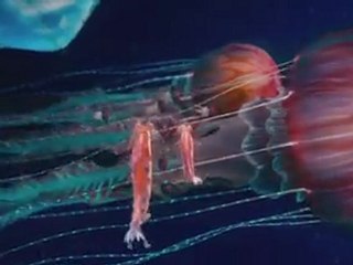 Делай ноги 2 (Happy Feet 2) - tv spot 1