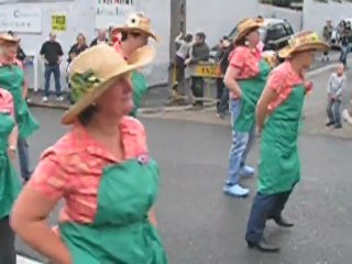 Edition 2011 du défilé carnavalesque du Cateau