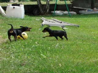 chipette joue au ballon avec sa fille loupette