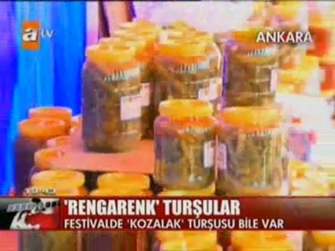 7.ULUSLAR ARASI ÇUBUK TURŞU VE KÜLTÜR FESTİVALİ