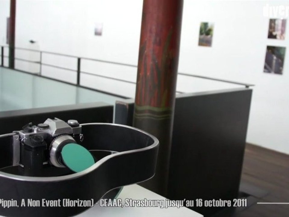Exposition Steven Pippin, CEAAC, Strasbourg, jusqu'au 16 octobre 2011