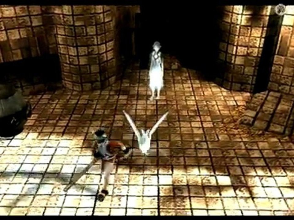 Classics HD: ICO & Shadow of the Colossus, Víde...