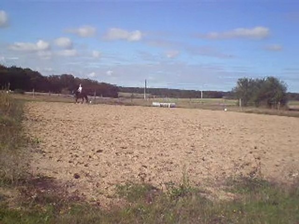 Devise, la furie en dressage...