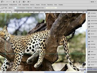 2. Знакомство с фотошоп