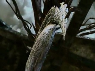 Vindictus | Gamescom 2010 Trailer