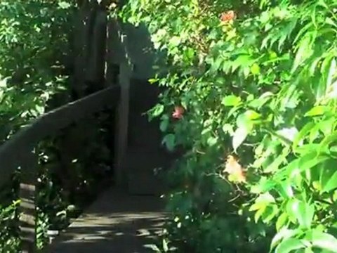 USVI Eco Cottages located on WATER ISLAND, St. Thomas VIRGIN ISLANDS.mov