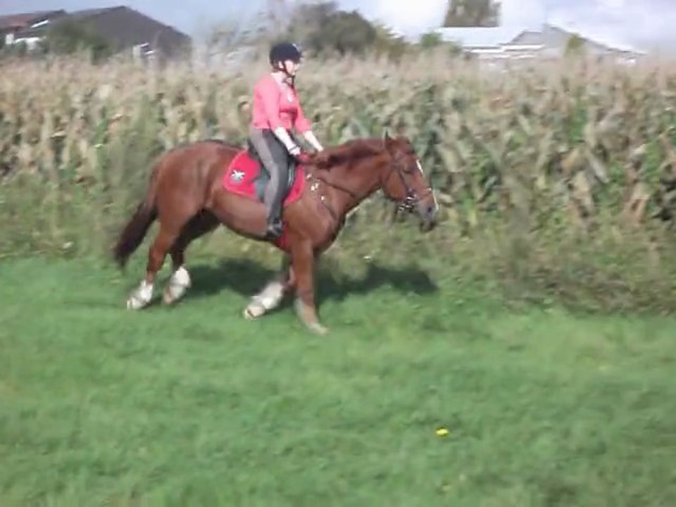 galop avec uno au stade