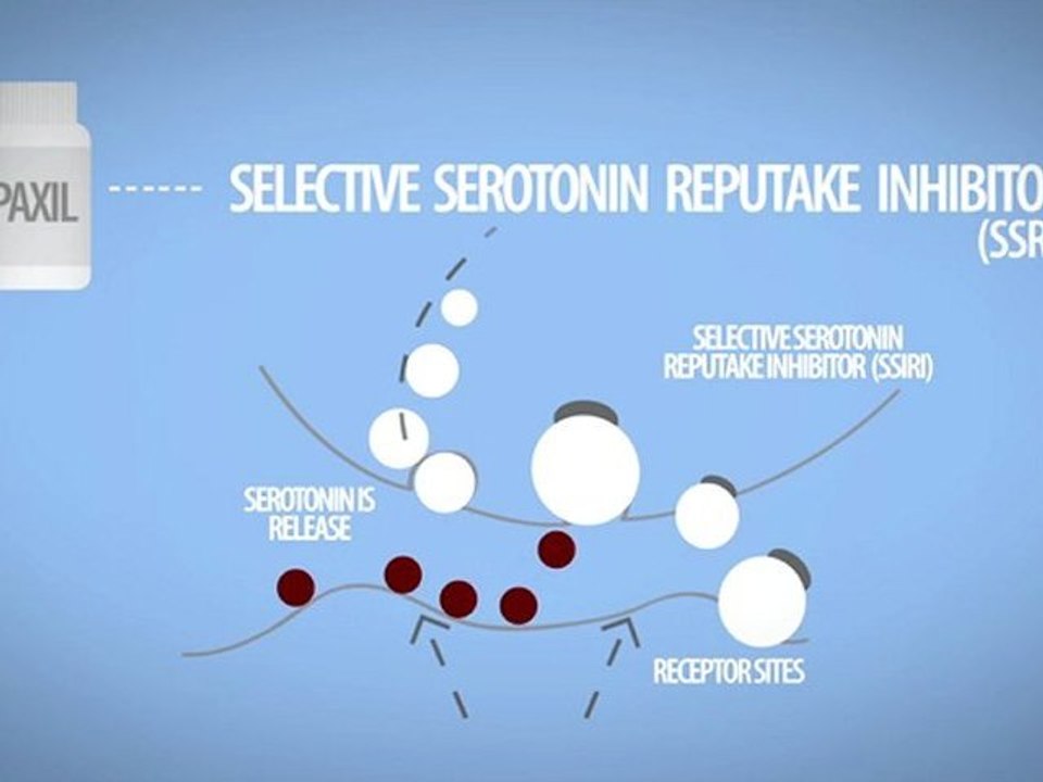Paxil - Brief History of the SSRI Antidepressant