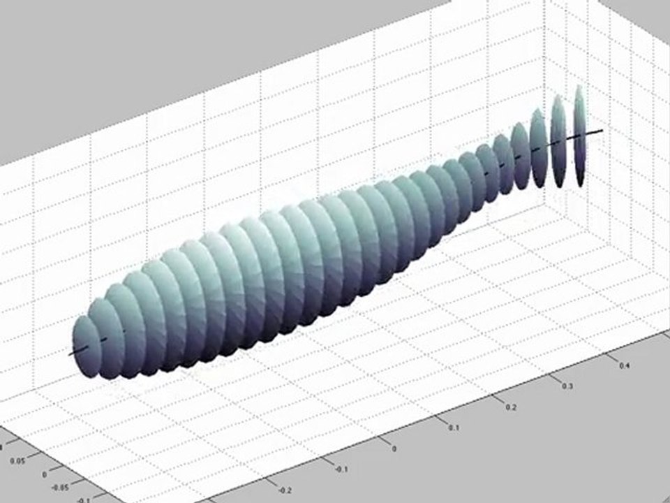 Beam model of fish