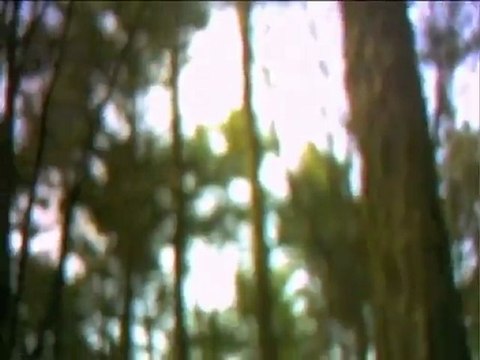 Still Corners - Creatures Of An Hour (Album Trailer Video)