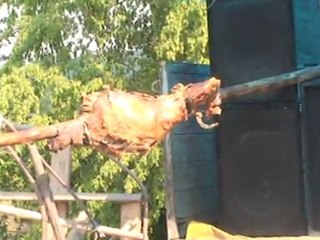 SİNOP SARAYDÜZÜ AVLUCA KÖYÜ BAYRAM ŞENLİĞİ 2011_1.Bölüm_