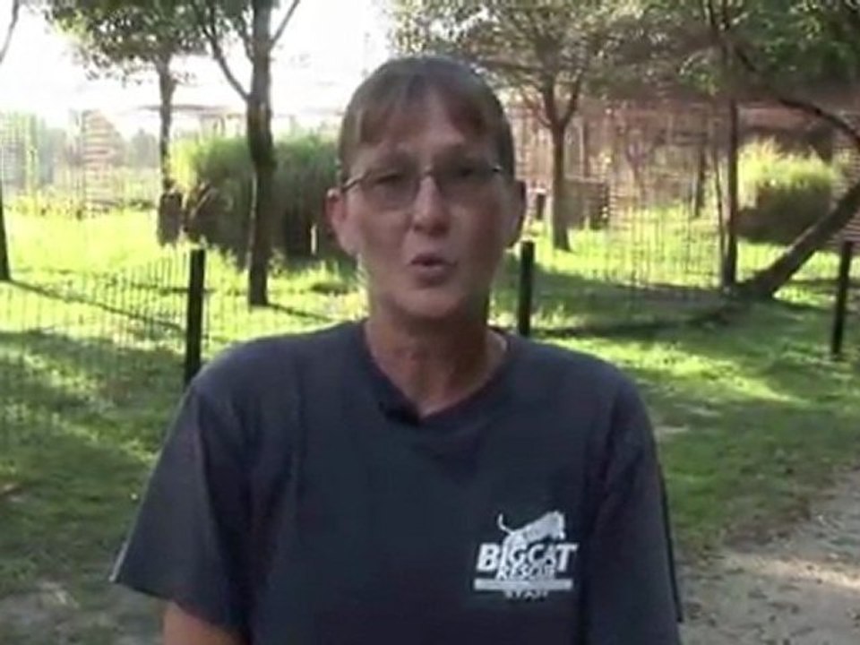 3 Tiger Rescue Prep
