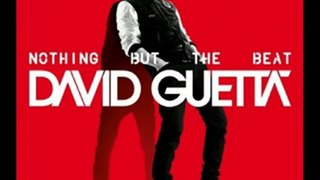 David Guetta - Mix Album Nothing But The Beat CD2 Electro ( By FuRxStAR )