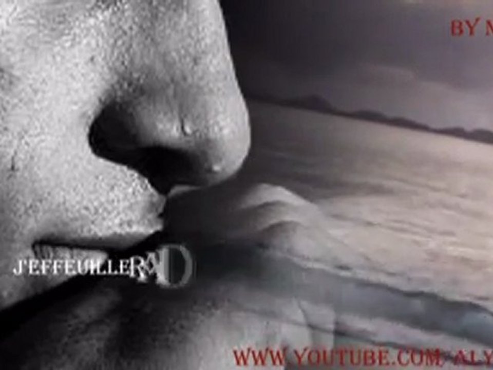 Un Jour Tu Ris, Un Jour Tu Pleures(with lyrics)