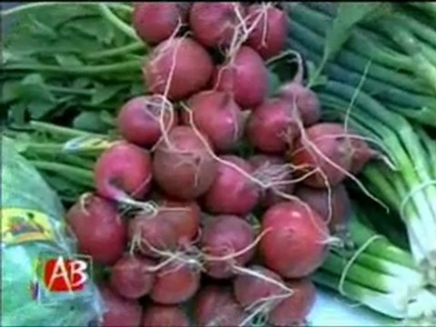 Noticia sobre el I Congreso Centroamericano de Agricultura Orgánica en Abriendo Brecha, Canal 7