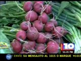 Noticia sobre el I Congreso Centroamericano de Agricultura Orgánica en Noticias Canal 10