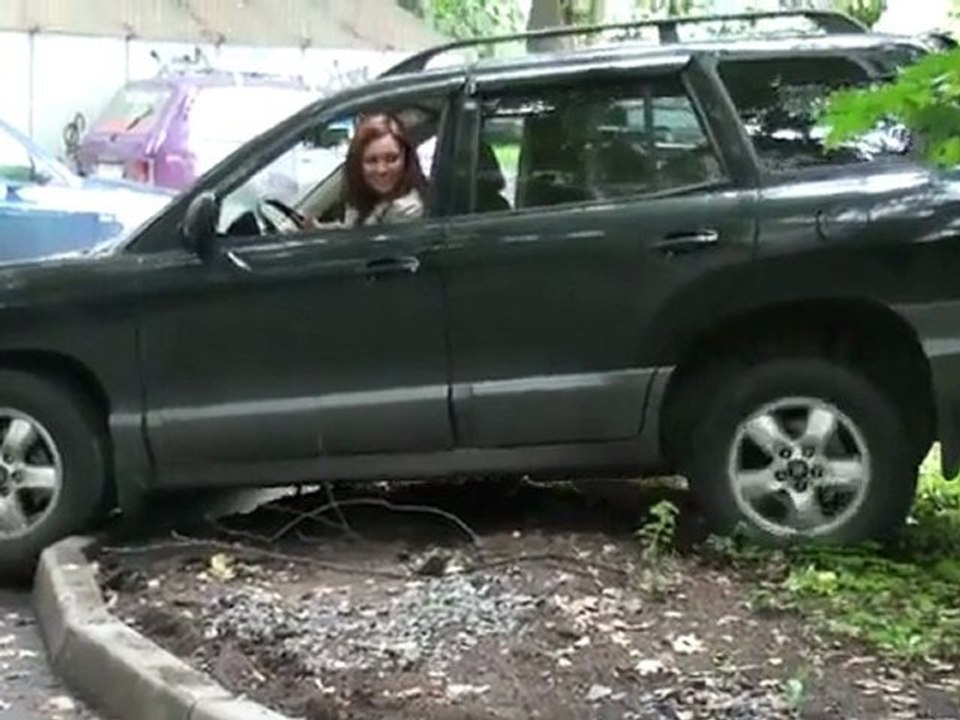 Einparken oder ausparken