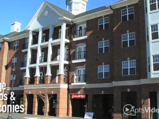 Station Plaza Apartments in Saint Louis, MO - ForRent.com
