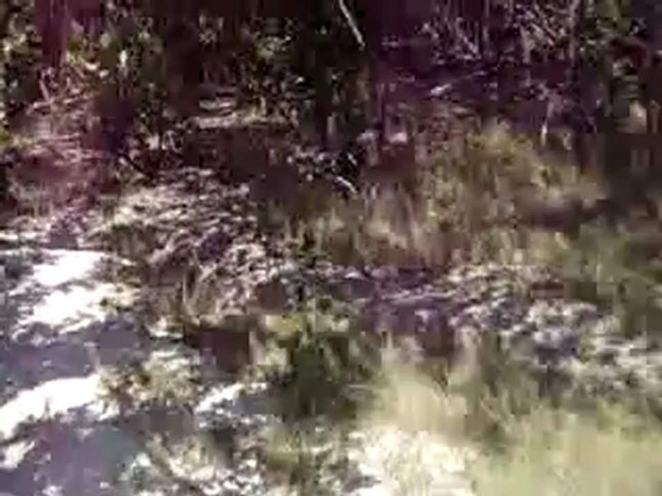 Spa Vacation Packages in Cuba