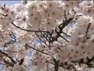 Sinking of Japan ( bande annonce VO )