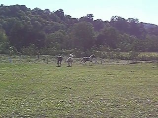 Retrouvailles maman et fifille après sevrage  suite