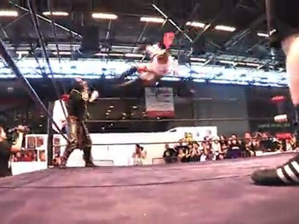 Le catch à Japan Expo 12e Impact