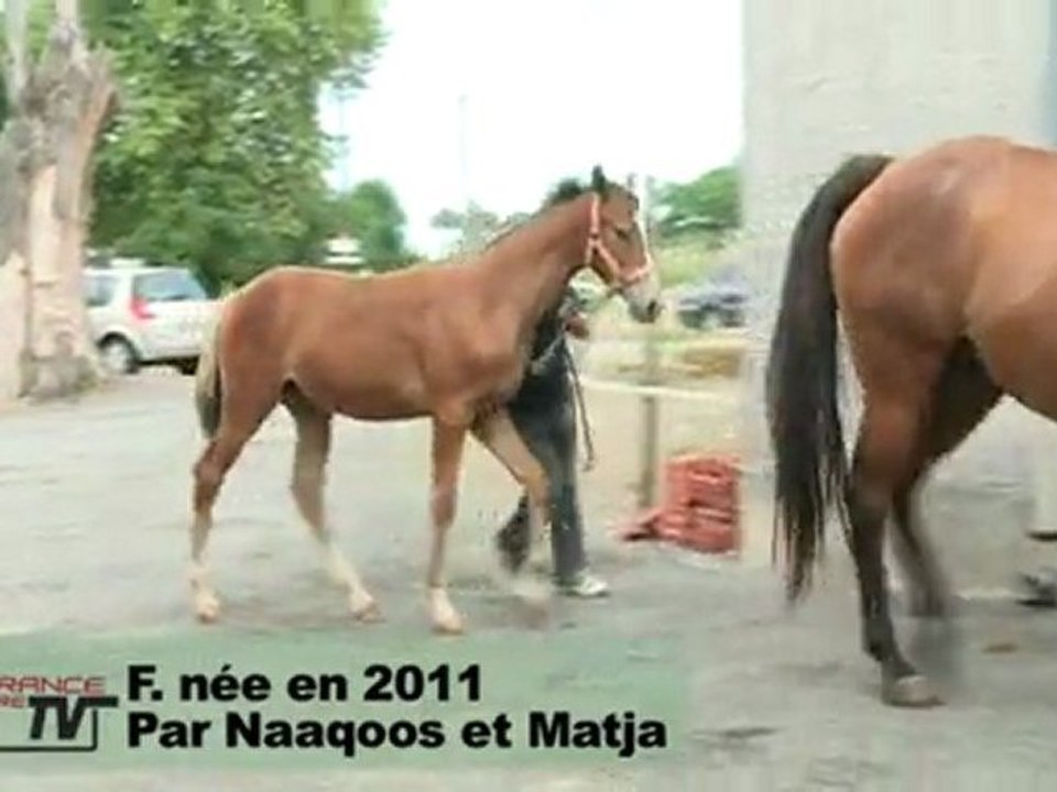 F11_Naaqoos_Matja