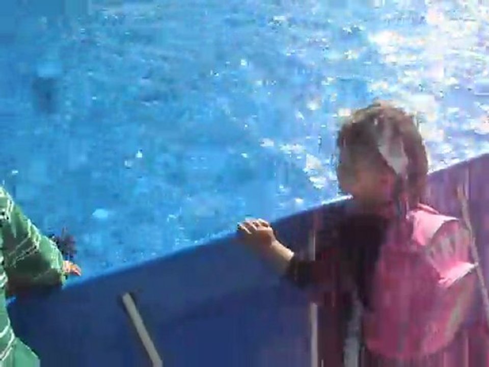 SDC14372