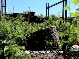 Notre Dame Cathedral Paris Explored With Adventures by Disn