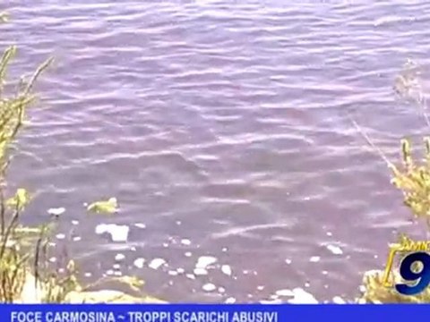 Foce Carmosina | Troppo scarichi abusivi