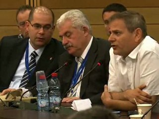 Discussion: The Role of Inter-Parliamentary Relations