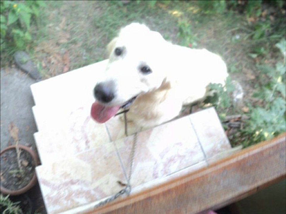 Benım Herseyım pasam :)