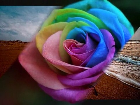 (Κάθε φορά που σε σκέφτομαι) -Всеки път, когато мисля за Теб