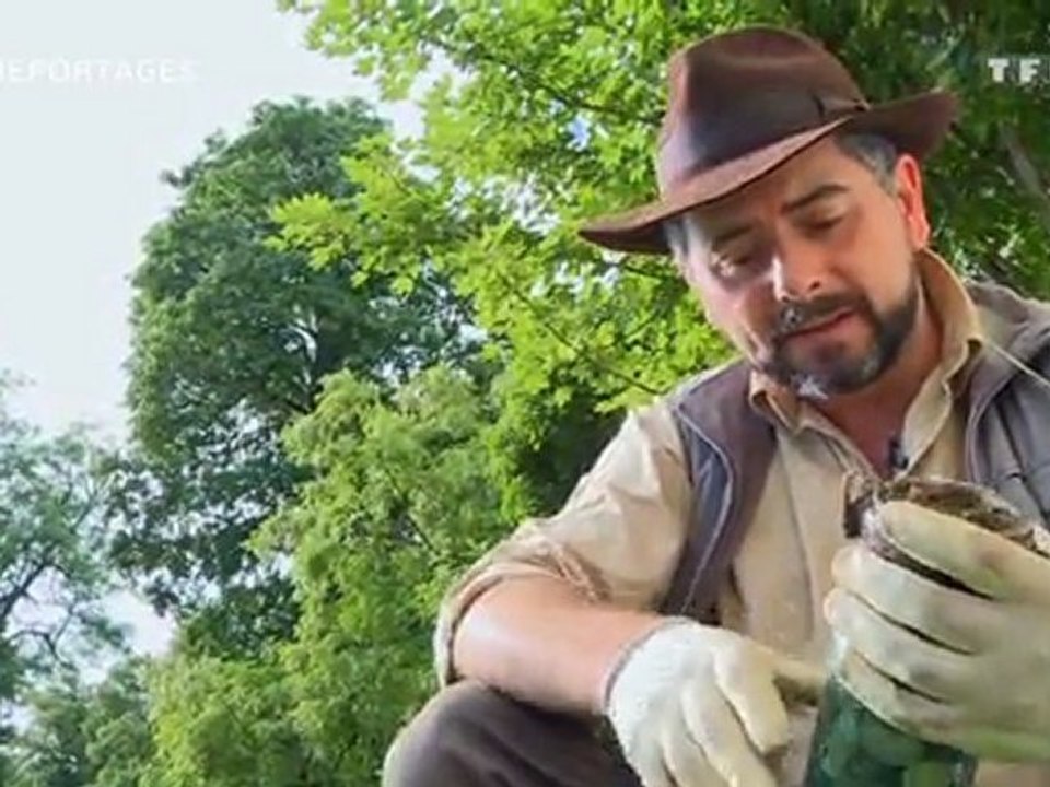 NOMADES TV : A la chasse au trésor