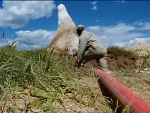 SUPERSTRUCTURES ANIMALES - L'ENERGIE