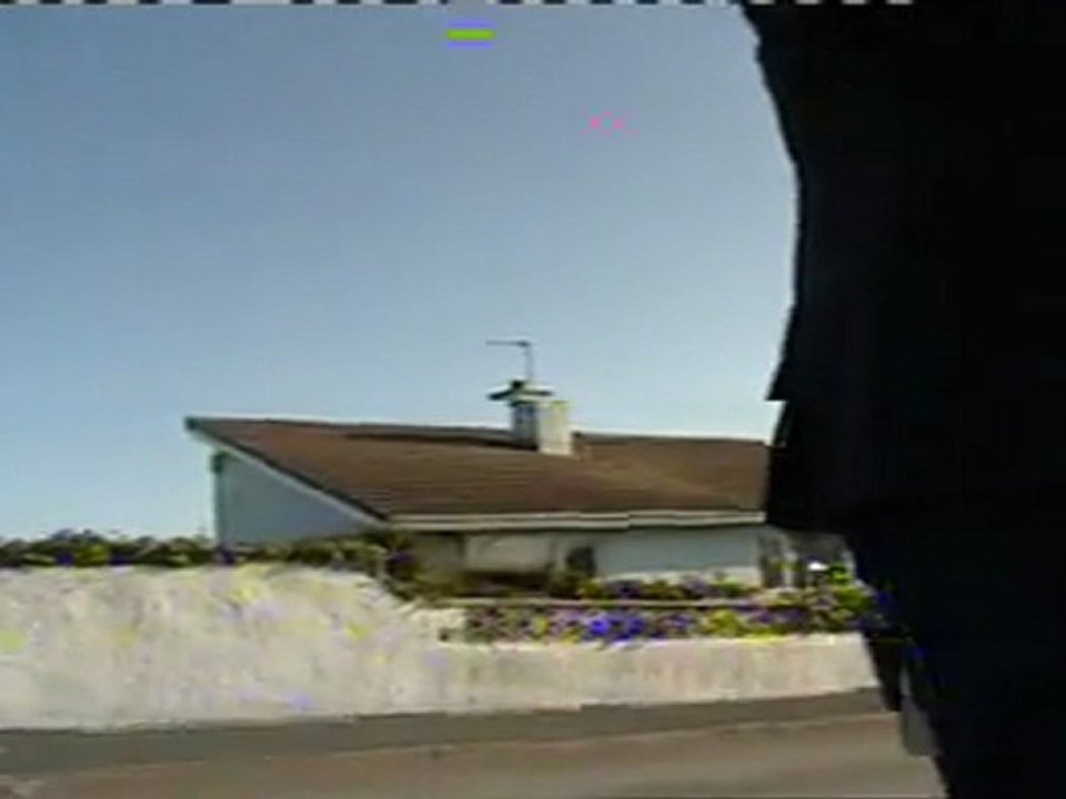 some biddy harassing tv reporter