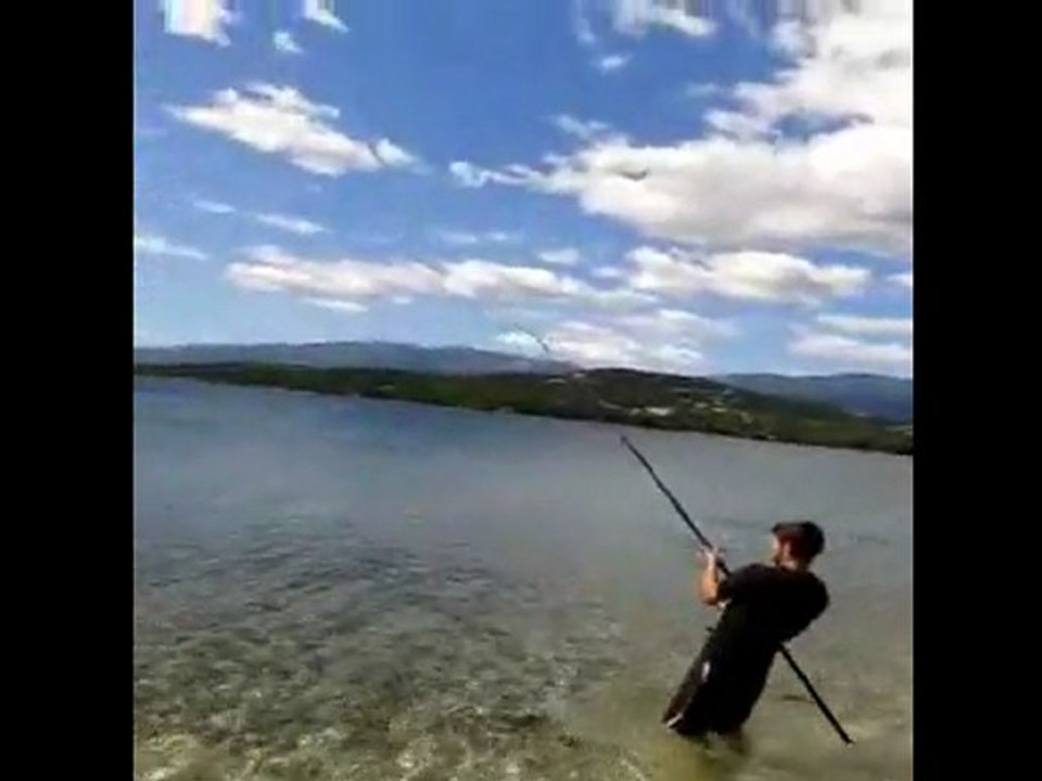 nokill4kg.wmv