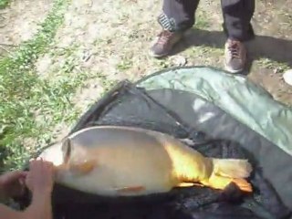 carpe 16 kg dans le 62