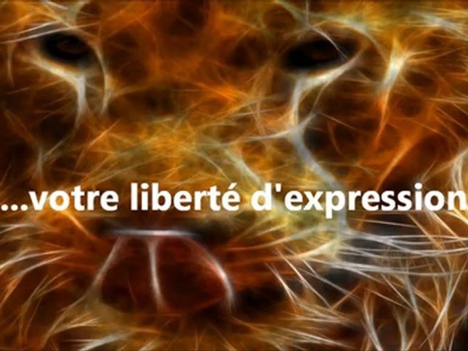 RASTA DE FRANCE TV - Spot pub