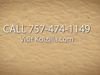 landscaping Virginia Beach